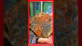 Rock Saw Cutting Red Jasper w/Quartz!!! #194 Shorts #rockhounding #lapidarysaw #rockcutting #jasper