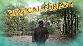 Macedon Ranges Forest Walk