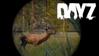 DayZ Survival | Deerisle