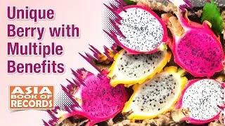 Unique Berry with Multiple Benefits | Asia Book of Records