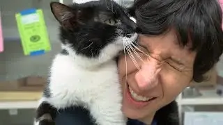 This Adorable Cat Loves To Snuggle On Everyone He Meets