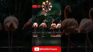 #DanceAndLearn, #ActivePlayForKids, #BirdieDanceAdventure, #KidsFavoriteMusic, #kids, #singalongfun