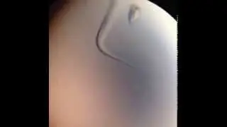 Free living nematode
