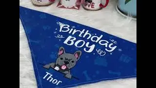 Personalized Birthday Girl Birthday Boy Bandana, Custom Gifts For Dog, Birthday Gift For Dogs