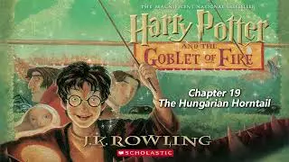 【Harry Potter and the Goblet of Fire】Chapter 19   The Hungarian Horntail