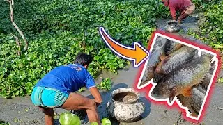 Fresh Fishing Bd Mud Water Fishing Video।।Big Catfish Hunting By Deep Hole || Best Fishing Video