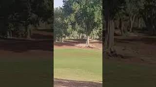 Golf View in Jumeirah Golf Estates villas Dubai #jumeirah #golf #estate #dubai #jge