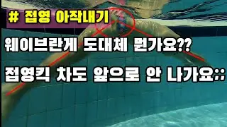 접영킥, 접영웨이브 이거 하나로 정리해드립니돠