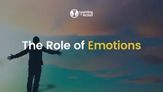 Emotions Play A Vital Function | The Information and Gift of Each Emotion