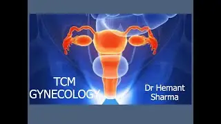 🌺 Chong Mai: The 5 Branches that Empower Uterine Health  💫 | #TCM #Gynecology #ChongMai #Uterus