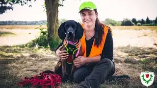 Kadaversuchhundeausbildung im Schwarzwildgatter I Landesjagdverband Brandenburg