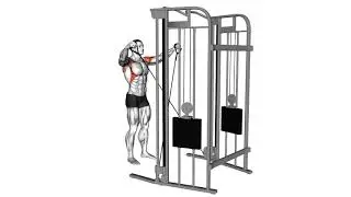 Cable Y Raise： A Comprehensive Exercise Guide 33421201 Cable Y raise Shoulders