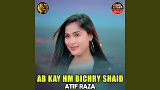 Ab Kay Hm Bichry Shaid