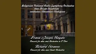 Concert for Oboe and Orchestra in D Dur, AV144: 1. Allegro moderato - 2. Andante - 3. Vivace