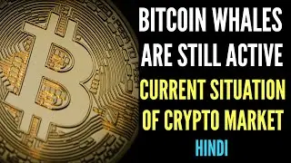 BITCOIN PRICE LATEST NEWS ALTCOINS CRYPTO PRICE UPDATES HINDI