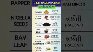 spices name in Punjabi language #punjabilitrature #punjabilearning #englishpunjabi