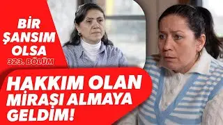 MİRAS PEŞİNDE! 