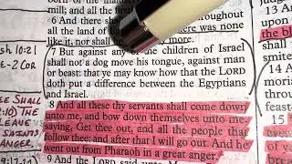 Staying In EGYPT (Exodus 11)