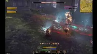 ESO Fighting Valanir The Restless with Zeako