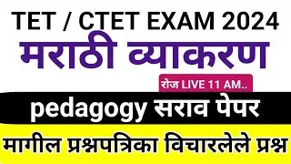 TET / Ctet Exam Marathi grammar || Maha tet 2024 Marathi व्याकरण || Marathi grammar Pedology