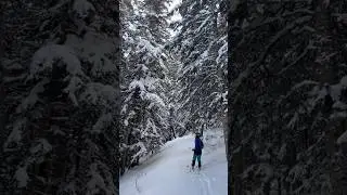This season&hellip;❄️#winter #skimo #nature