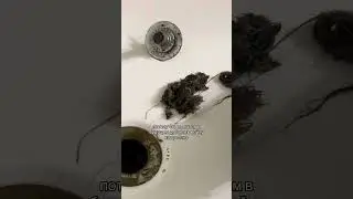 Мы часто арендуем какой-то дорогостоящий инструмент до покупки, чтобы попробовать.