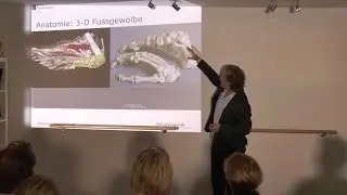 F&uuml;sse & K&ouml;rper aus Sicht der Spiraldynamik - Dr. Larsen Vortrag K&ouml;ln Teil 2
