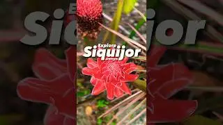 The Sylvia: Spacious Rooms Perfect for Barkada Vacation in Siquijor