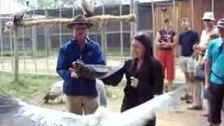 Me Holding (trying to) a White Back Vulture