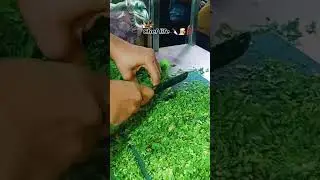 Dhaniya katne ka tarika kailash parbat Resturant kitchen #shorts #kailashparbat #kailashparbathotal