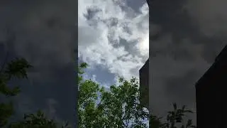 a cloudy sky with sunlight breaking through, casting light on green leaves in the foreground.