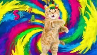Li kaybri lmchach ou lbrazil 🇧🇷🇧🇷🇧🇷🇧🇷🇧🇷😽😽😽😽😽