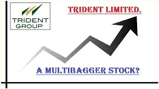 Trident Limited, A Multibagger Stock?