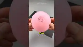 #reelschallenge
