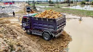 Incredible Landfill Start Project By Expert Driver BullDozer Pushing SoilRock & 5T Trucks unloading 