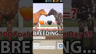 Breeding Horses In Rival Stars Horse Racing 100 Foal Challenge Day 55🧡+🖤=? #rivalstarshorseracing