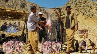 Life away from civilization:🐑 Slaughtering sheep and preparing fresh meat in the Zagros Mountains ⛰️