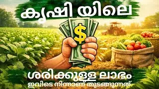 കൃഷി യിലെ എഥാർത്ഥ ലാഭം തുടങ്ങുന്നത് ഇവിടെ നിന്നാണ്....