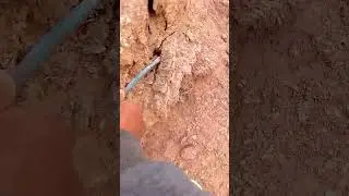 haw to find Beta Quartz?
