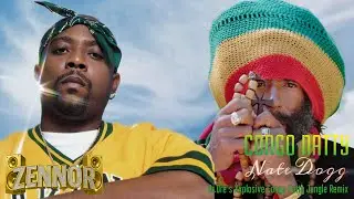 Dr.Dre Xxplosive Jungle Remix Ft. Nate Dogg & Congo Natty