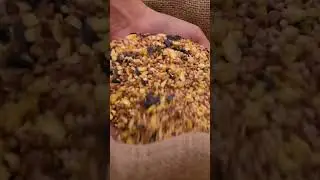 Wild Bird Mix | ForTheBirds.com | Fresh Bird Seed Online