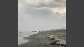 Coastal Winds