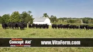 VitaFerm Concept-Aid Maplecrest Farms