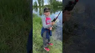 Удобная для детей спиннинговая снасть #шорты #рыбалка #шимано