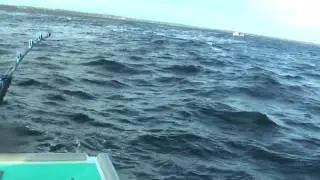 INSANE Giant Tuna Hookup and Run
