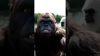 A SHARK #ai #funny #vlog #gorilla #vlogger #monkey #vlogging #comedy #bigfoot
