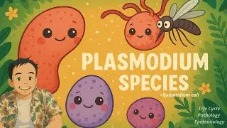 Phylum Apicomplexa (Plasmodium) & Phylum Ciliophora (Balantidium coli)