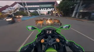Kawasaki ZX4RR | Last Ride before 2026 | CEBU