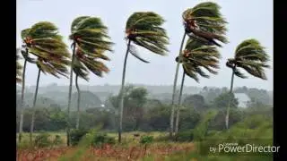 El son del viento (Porfirio Barba Jacob) Steven Ospina Builes