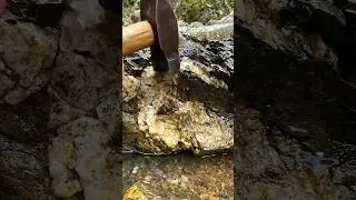 Real Gold Found Inside a Normal Rock 🪙🔥 #shorts #goldmining #goldrush